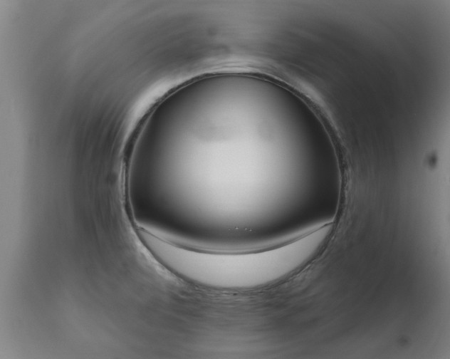 X0000111461472200907201102