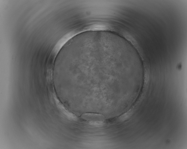 X0000111461473200907201102