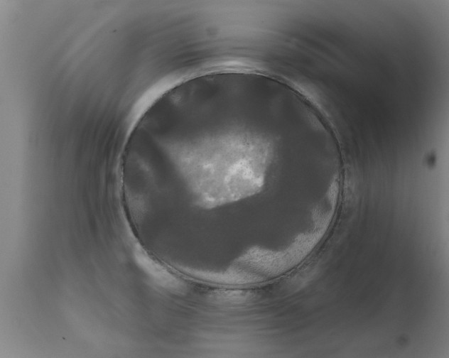 X0000111461474200907201102