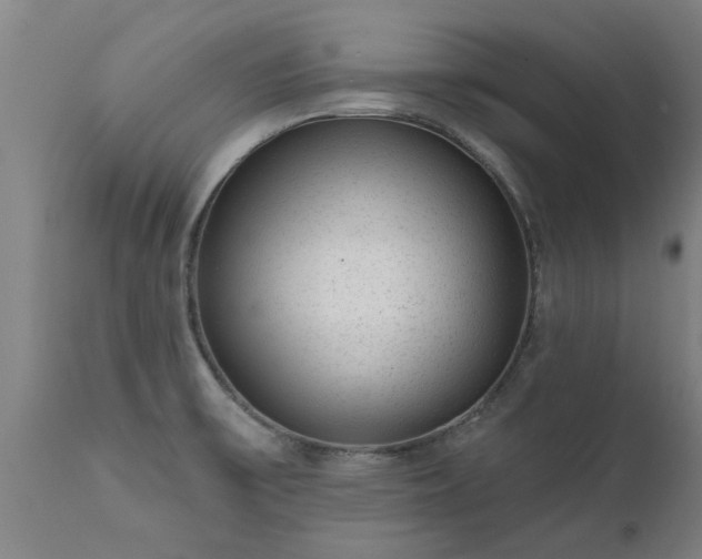 X0000111461475200907201102