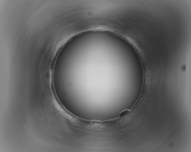 X0000111461476200907201102