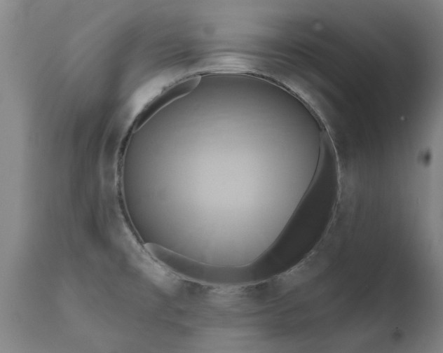 X0000111461477200907201102