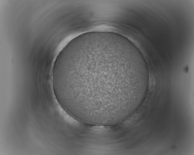 X0000111461478200907201102