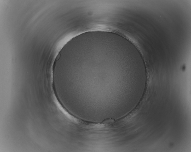 X0000111461479200907201102