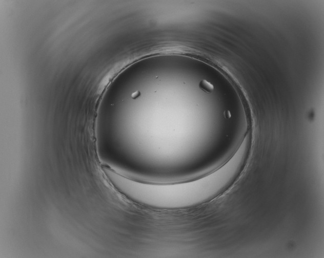 X0000111461481200907201102