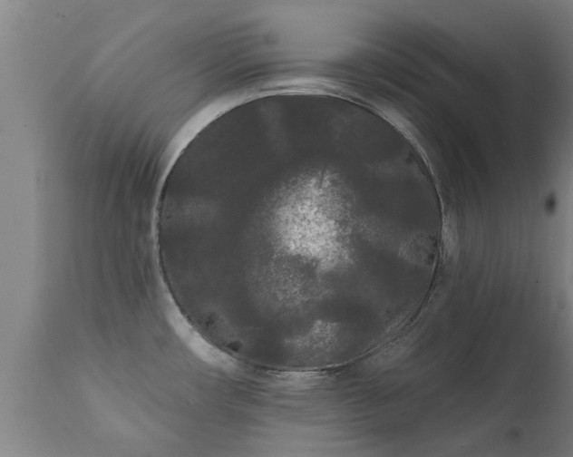 X0000111461482200907201102