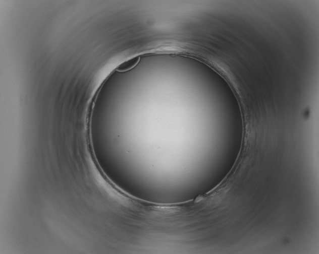 X0000111461483200907201102