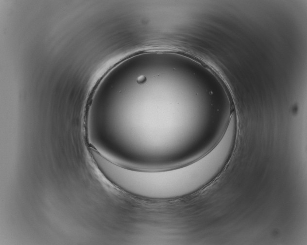 X0000111461485200907201102