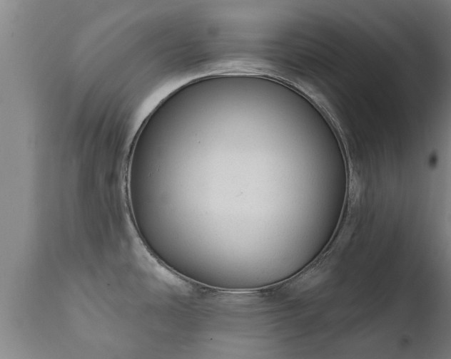 X0000111461486200907201102