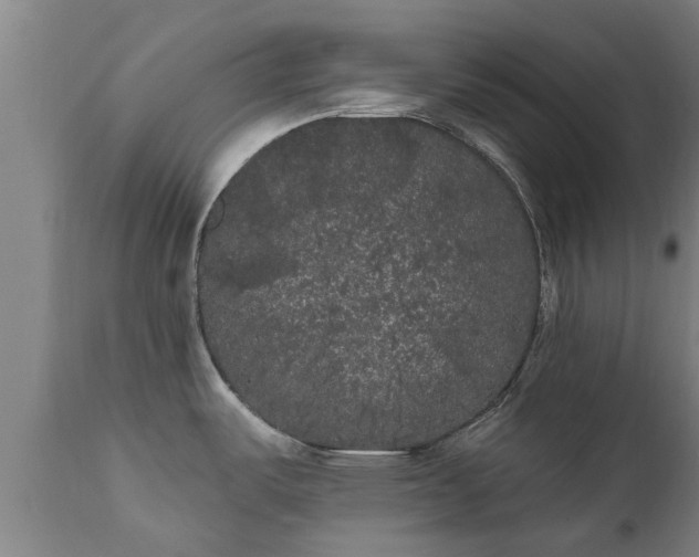 X0000111461487200907201102