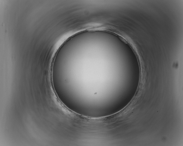 X0000111461488200907201102