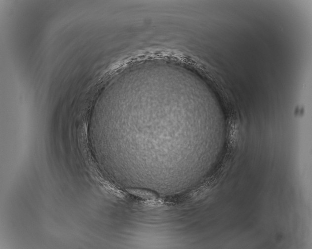 X0000111461489200907201101