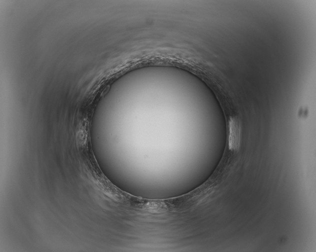 X0000111461491200907201101