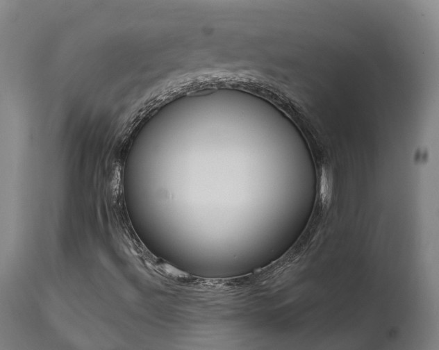 X0000111461492200907201101