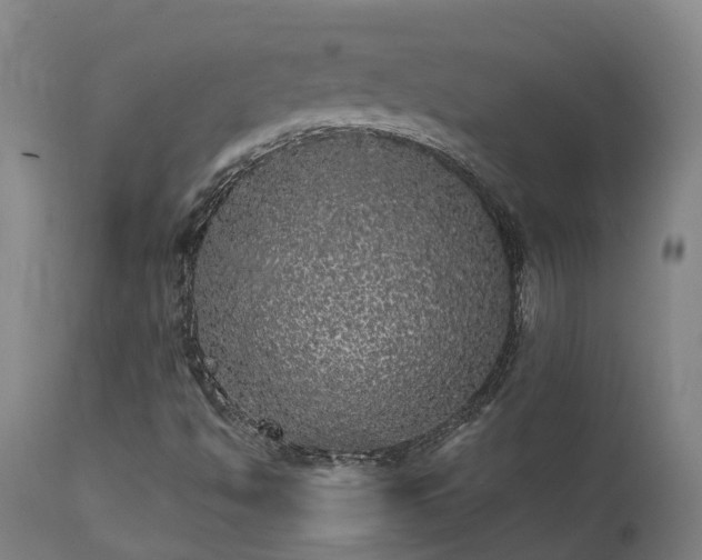 X0000111461494200907201101