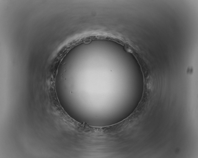 X0000111461495200907201101