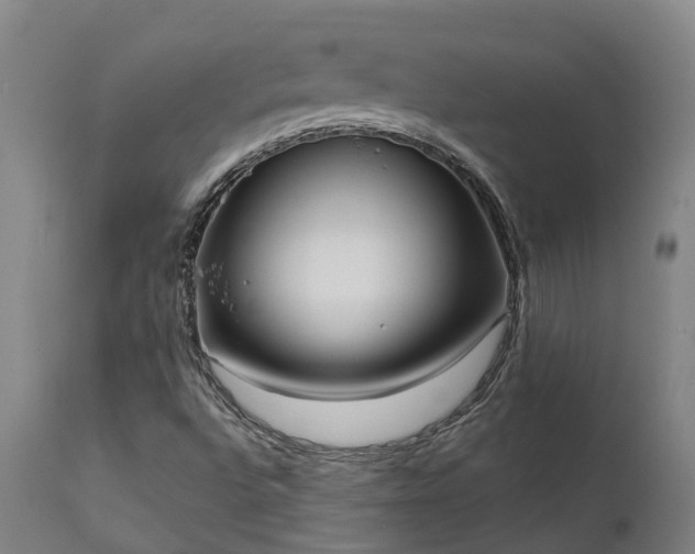 X0000111461496200907201101