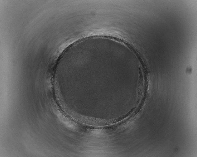 X0000111461497200907201101