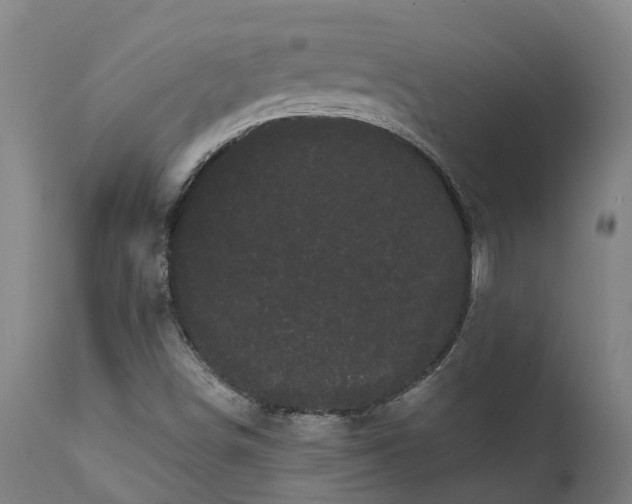 X0000111461498200907201101