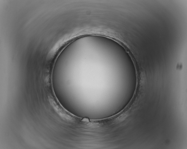 X0000111461499200907201101