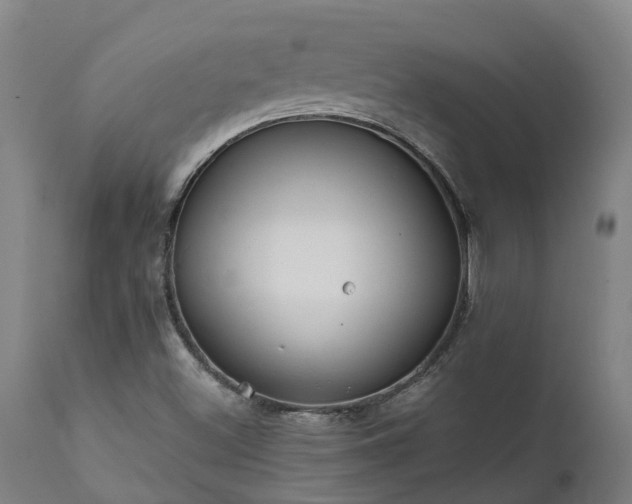 X0000111461500200907201101