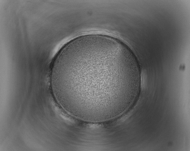 X0000111461501200907201101