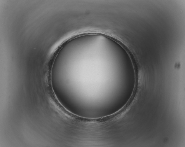 X0000111461502200907201101