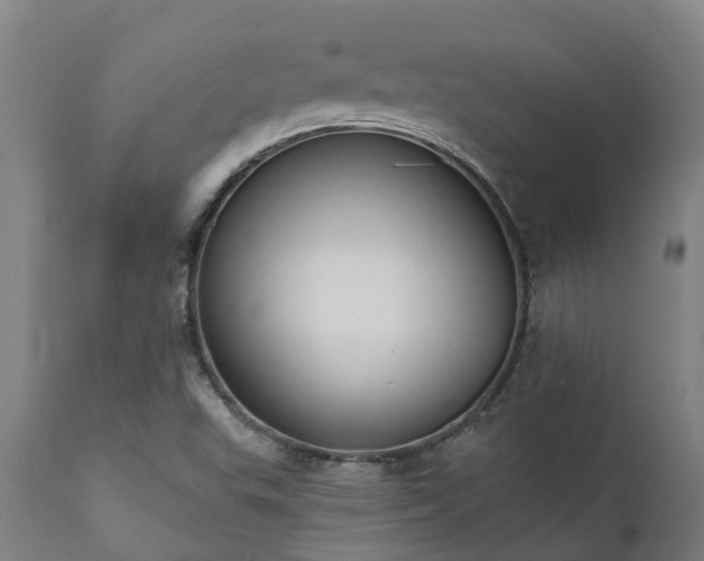 X0000111461503200907201101