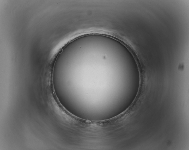 X0000111461504200907201101