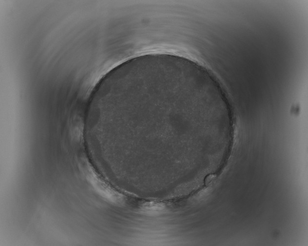 X0000111461505200907201101