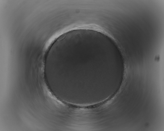 X0000111461506200907201101