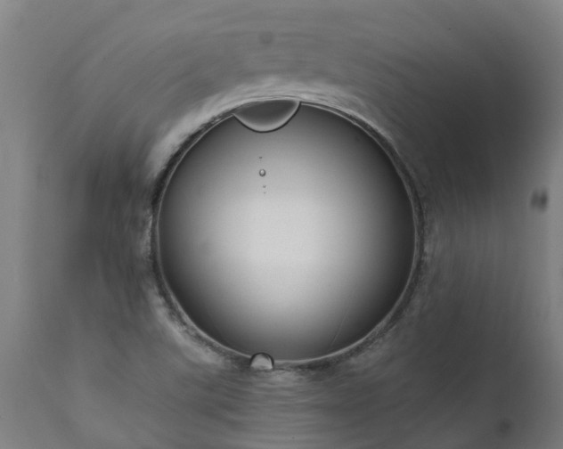 X0000111461507200907201101