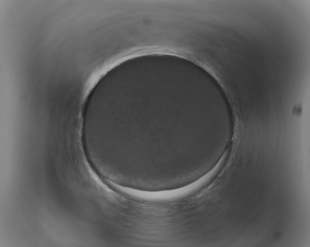 X0000111461508200907201101