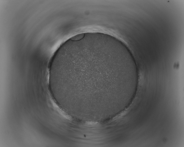 X0000111461509200907201101