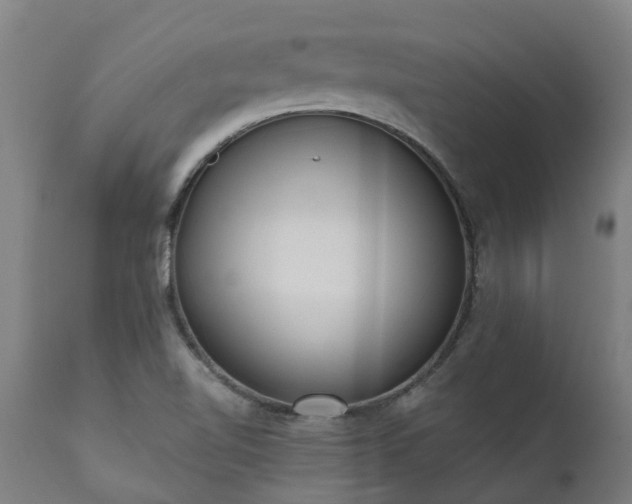 X0000111461510200907201101