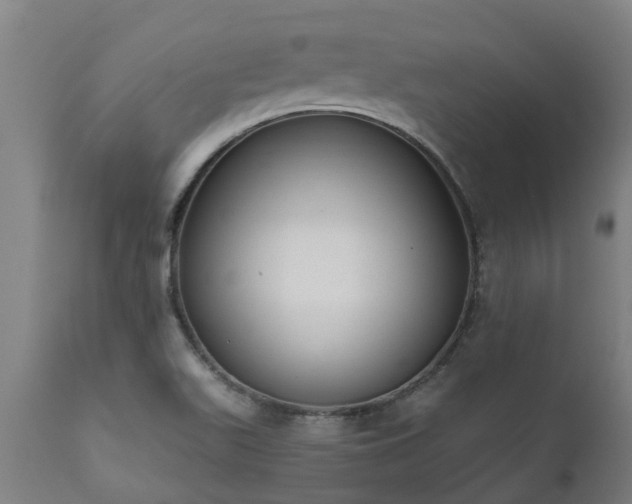 X0000111461511200907201101