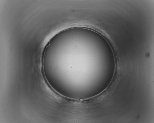 X0000111461512200907201101