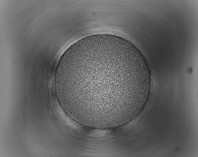 X0000111461513200907201101