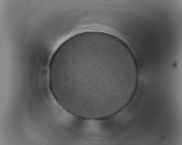 X0000111461514200907201101