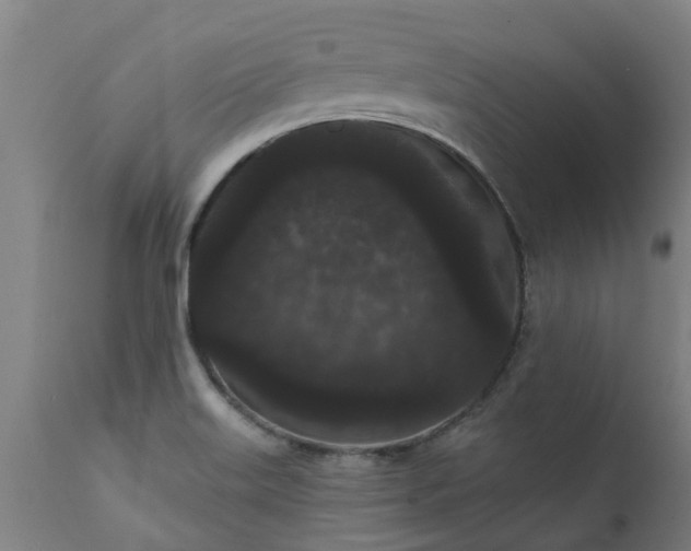 X0000111461515200907201101