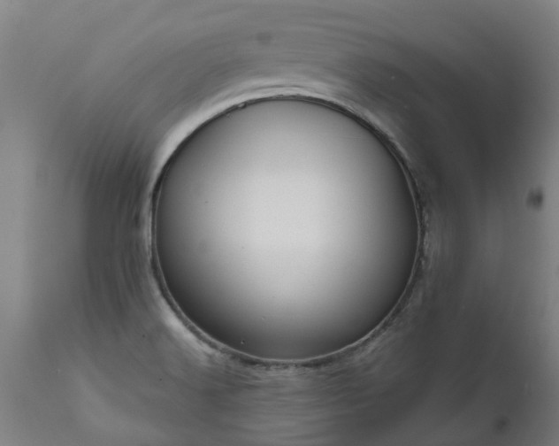 X0000111461516200907201101