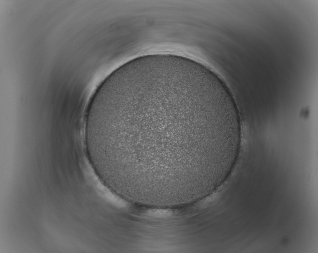 X0000111461517200907201101