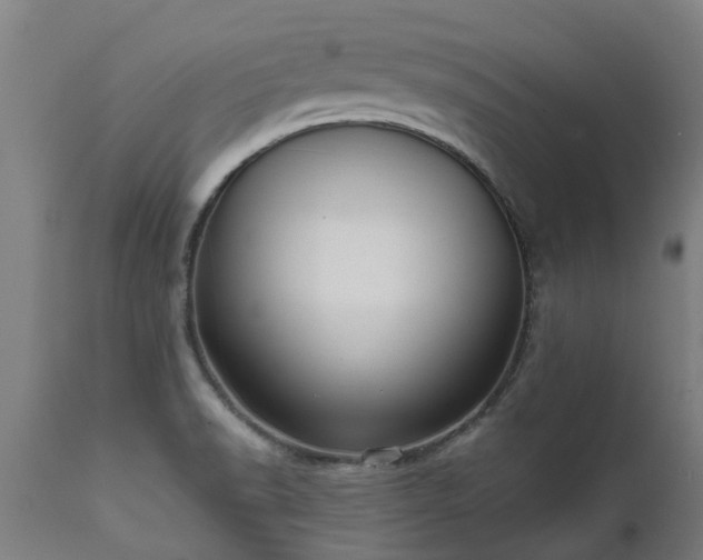 X0000111461518200907201101