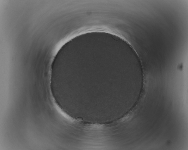 X0000111461519200907201101