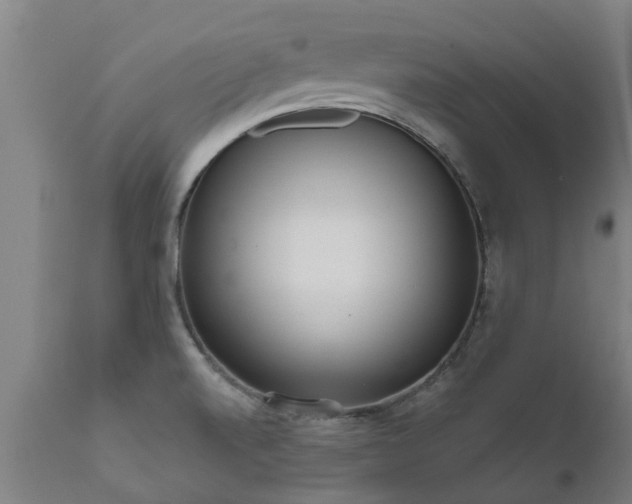 X0000111461520200907201101