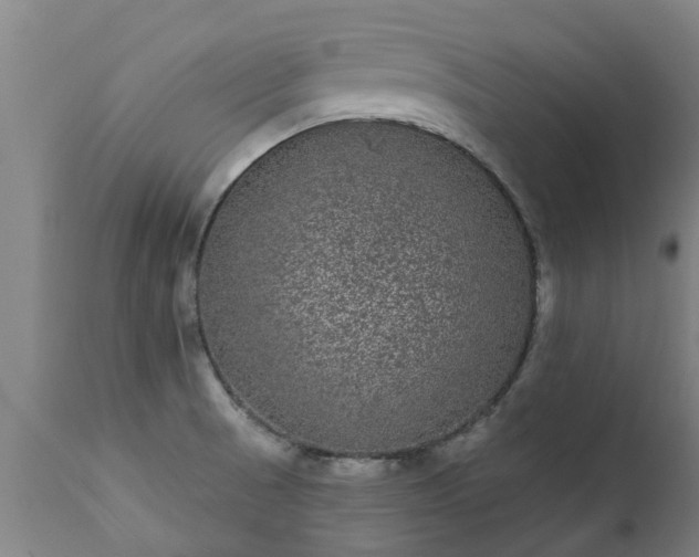 X0000111461521200907201101