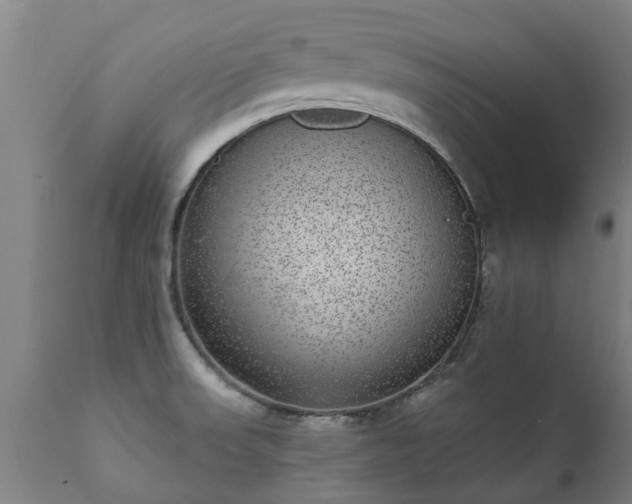 X0000111461523200907201101