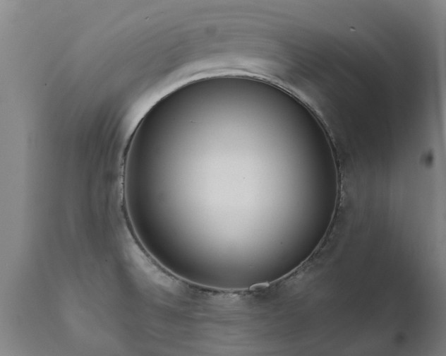 X0000111461524200907201101