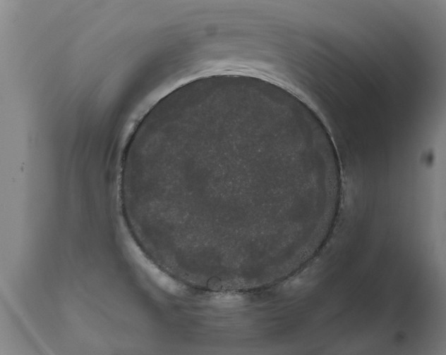 X0000111461525200907201101