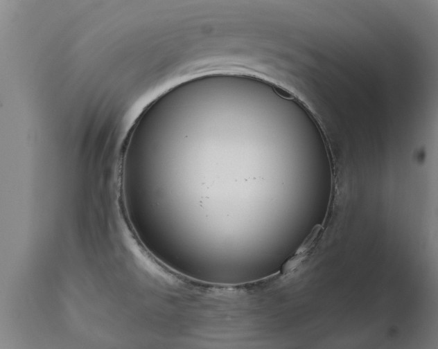 X0000111461526200907201101